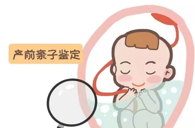 山东孕期亲子鉴定流程,山东孕期亲子鉴定价钱